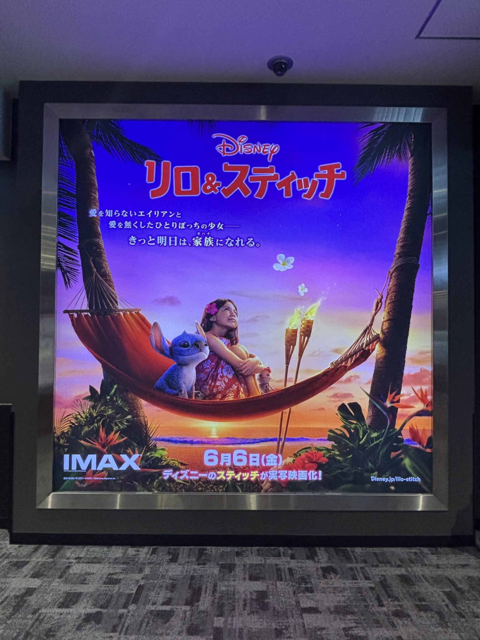 映画よりポップコーン🍿