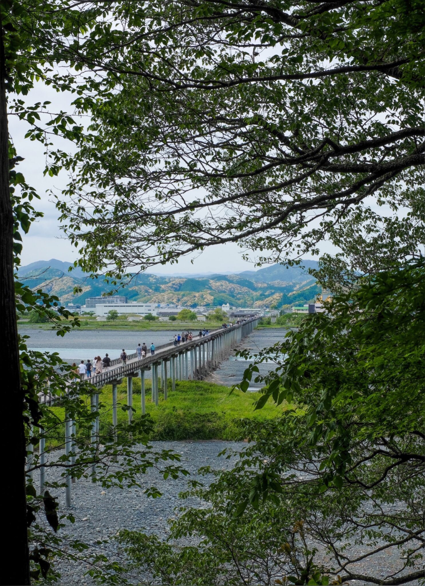 蓬莱橋🌈in静岡島田